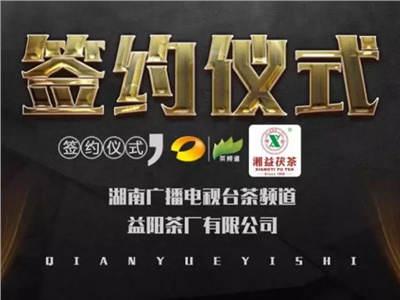 湘益茯，美茗揚(yáng) 丨湘益茯茶與茶頻道達(dá)成長期戰(zhàn)略合作