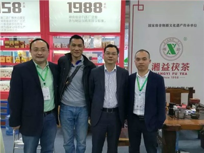 湘益茯茶6年耕耘，讓“金花”開遍巴蜀大地