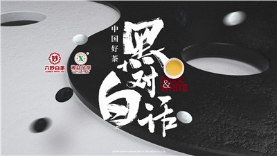 首屆黑白對(duì)話高峰論壇圓滿落幕！湘益茯茶備受關(guān)注！