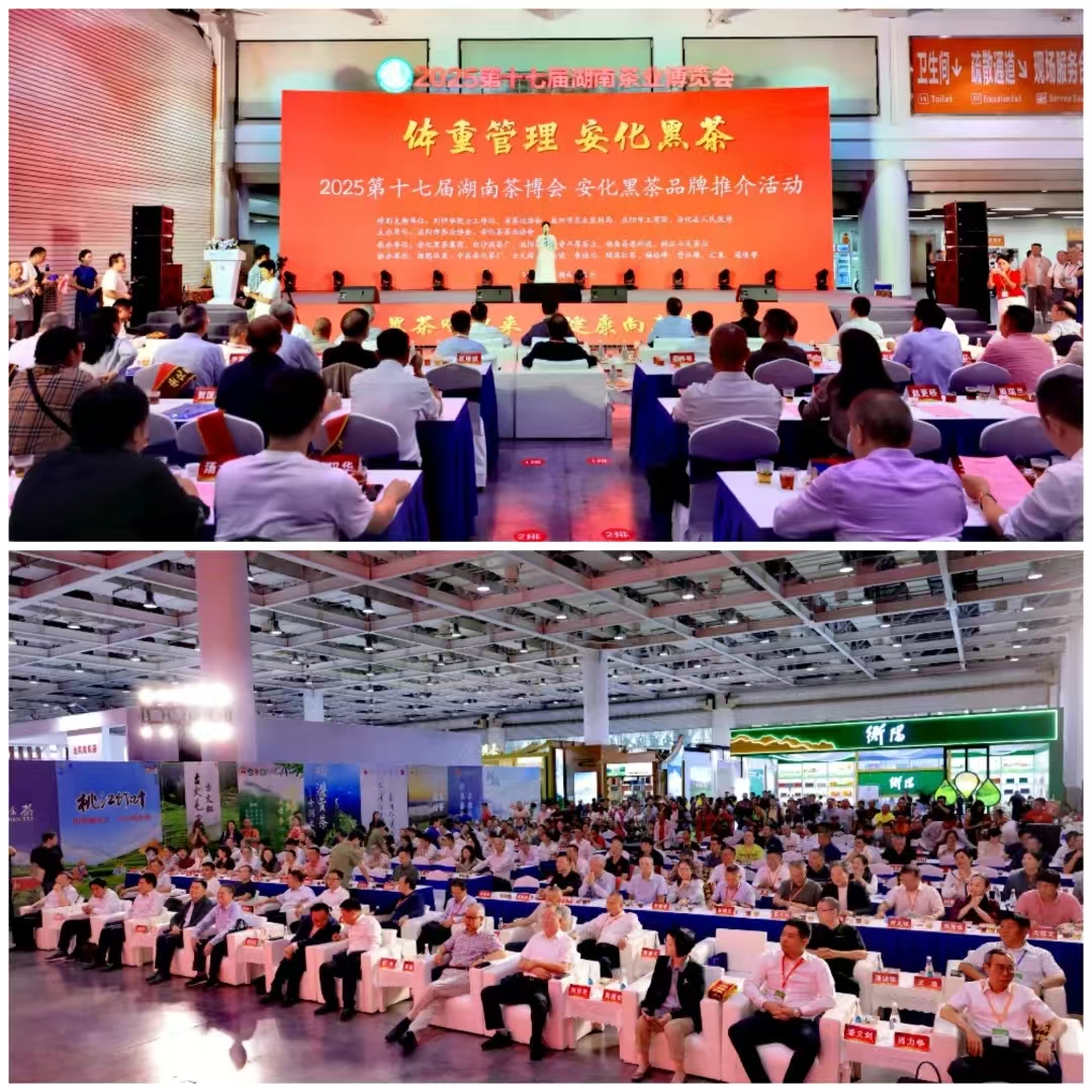 破局邊銷二十載，開啟茯茶新紀元——湘益茯茶“紀廿”新品璀璨發(fā)布